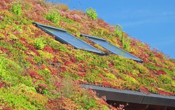 Yatesbury living roof systems